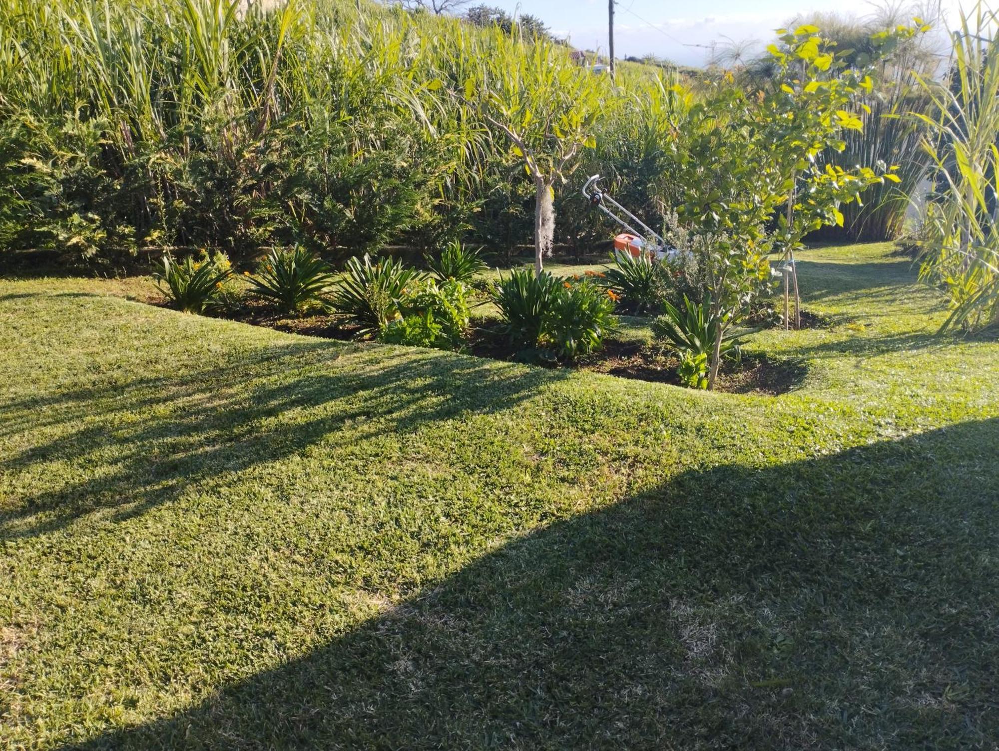 Levada Nova House Villa Ponta do Sol  Exterior photo